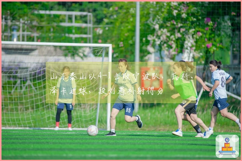 山东泰山以4-1击败宁波队，瓦科、泽卡进球，段刘愚补射得分