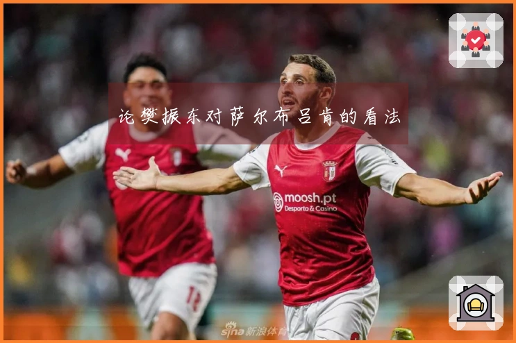 论樊振东对萨尔布吕肯的看法