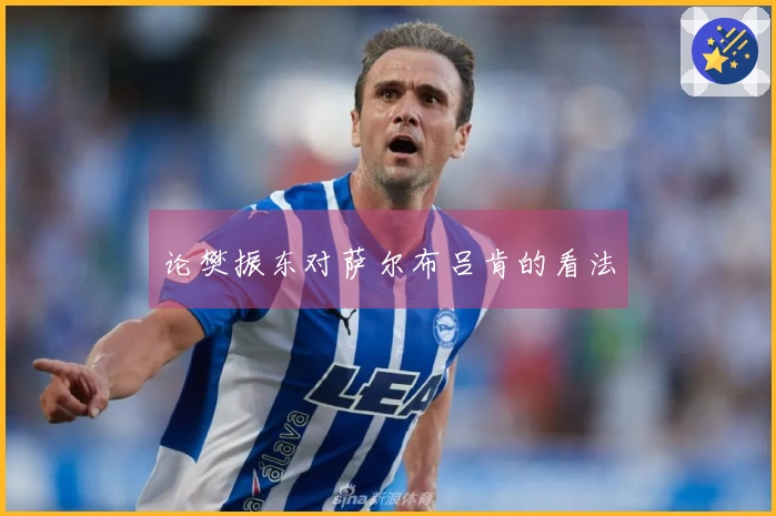 论樊振东对萨尔布吕肯的看法