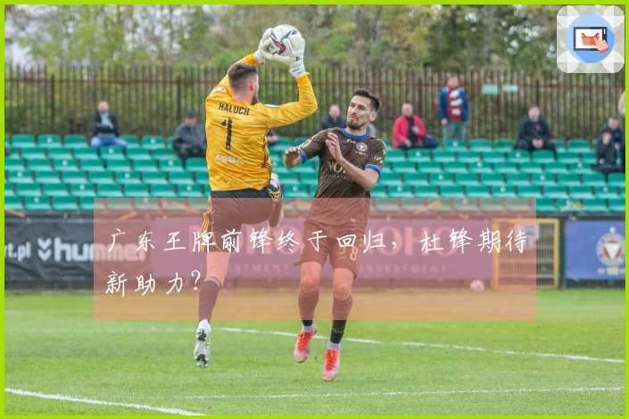 广东王牌前锋终于回归，杜锋期待新助力？