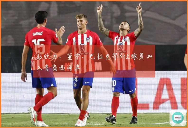 彭欣力、董宇、巴拉克等8位球员加入青岛西海岸