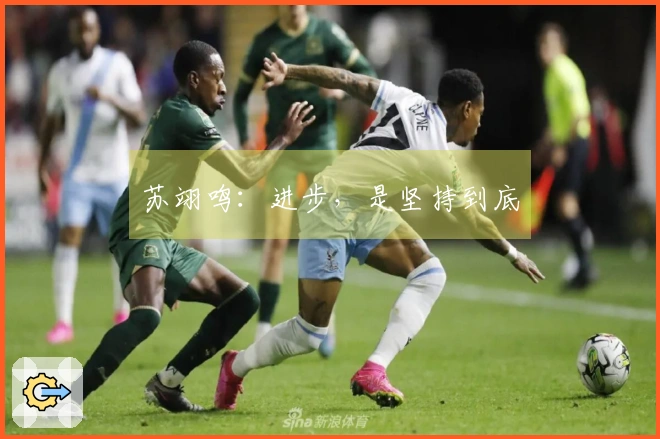 苏翊鸣：进步，是坚持到底