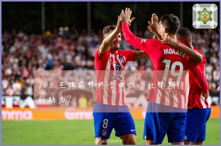 广东王牌前锋终于回归，杜锋期待新助力？