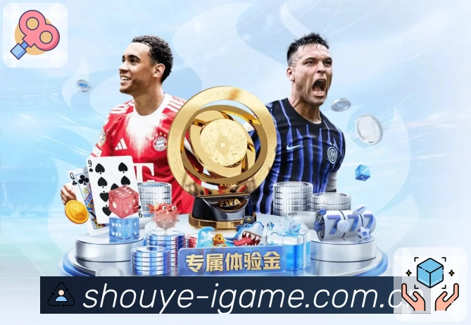 MK体育平台展示图